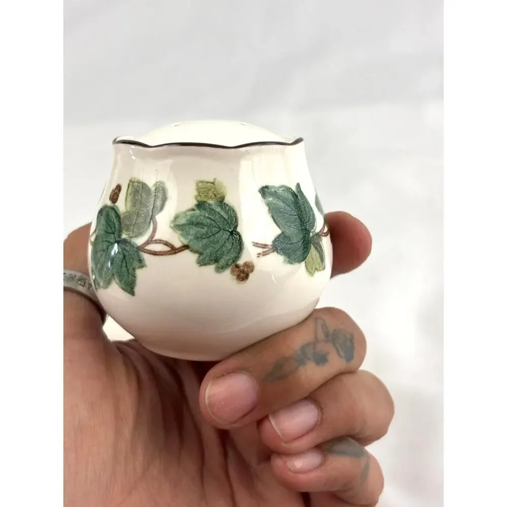 VTG‎ Green Ivy Plant Salt and Pepper Ceramic Shakers Japan Set